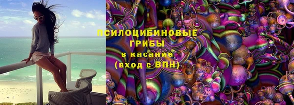 Альфа ПВП Алзамай