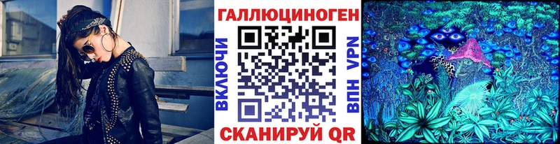 Псилоцибиновые грибы Psilocybe  где купить   Пермь 